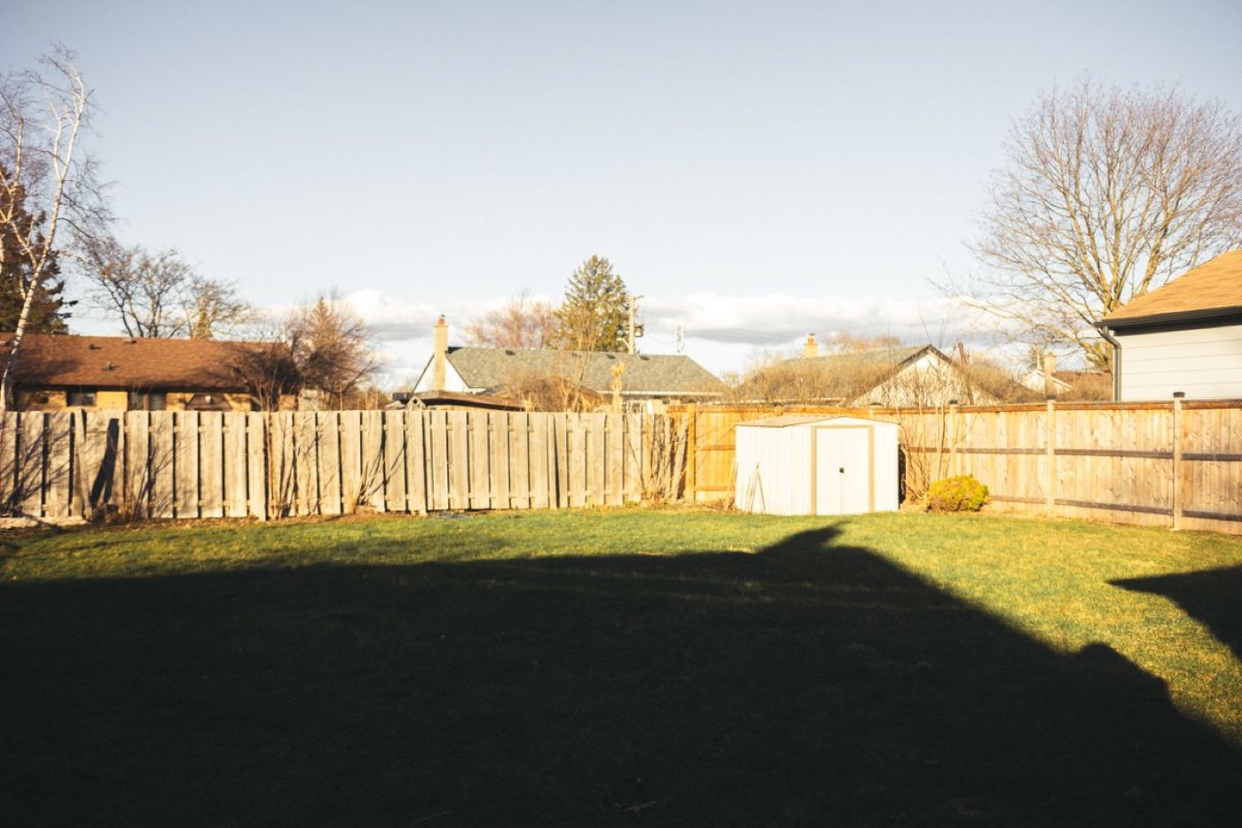 Backyard